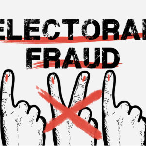 electoral fraud web (2)